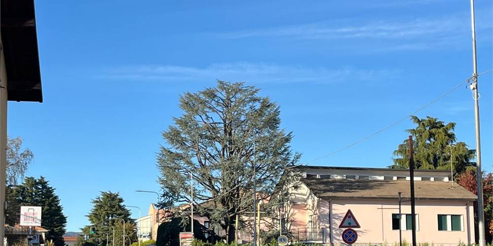 NUOVA COSTRUZONE VENDIAMO TRILOCALE